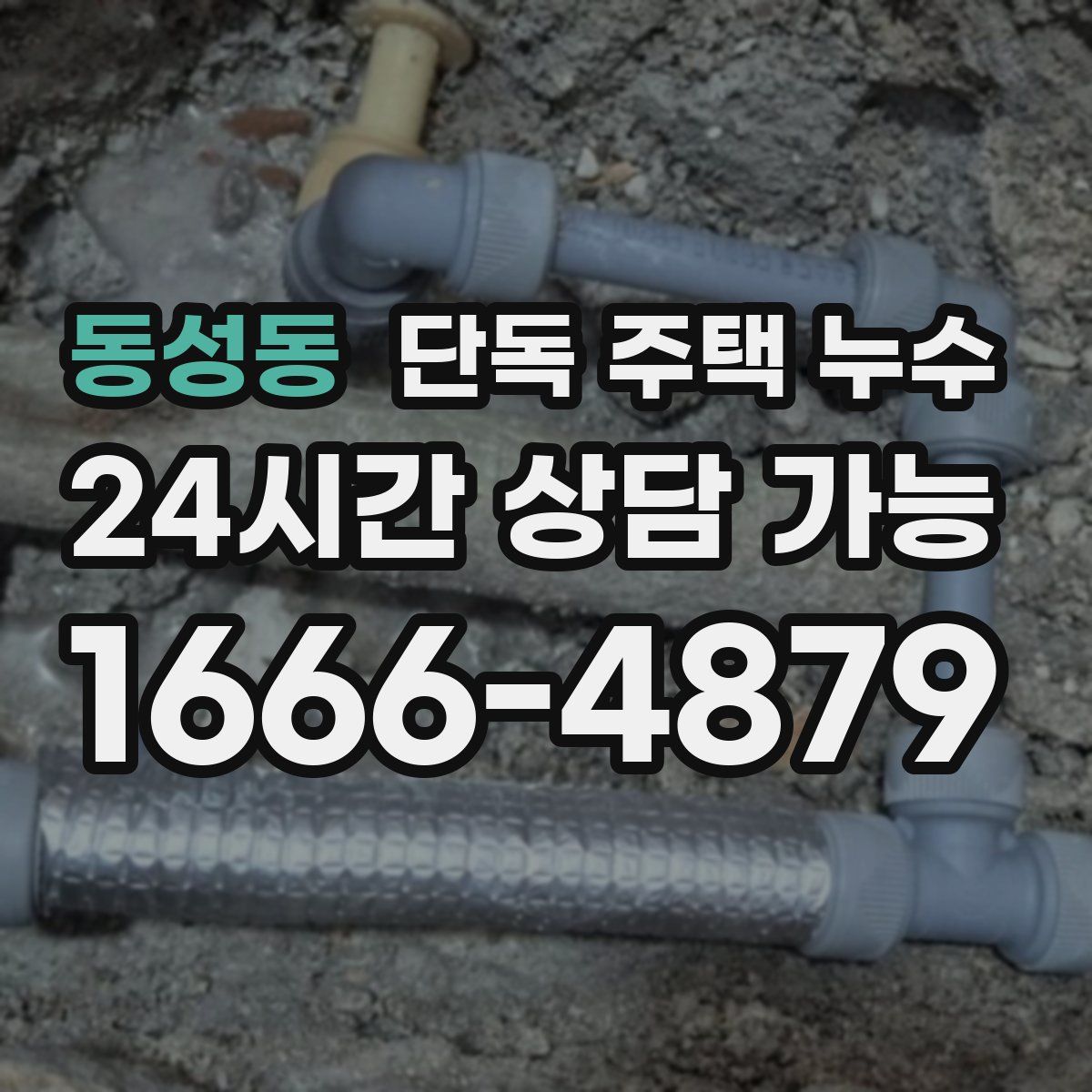 동성동 단독 주택 누수