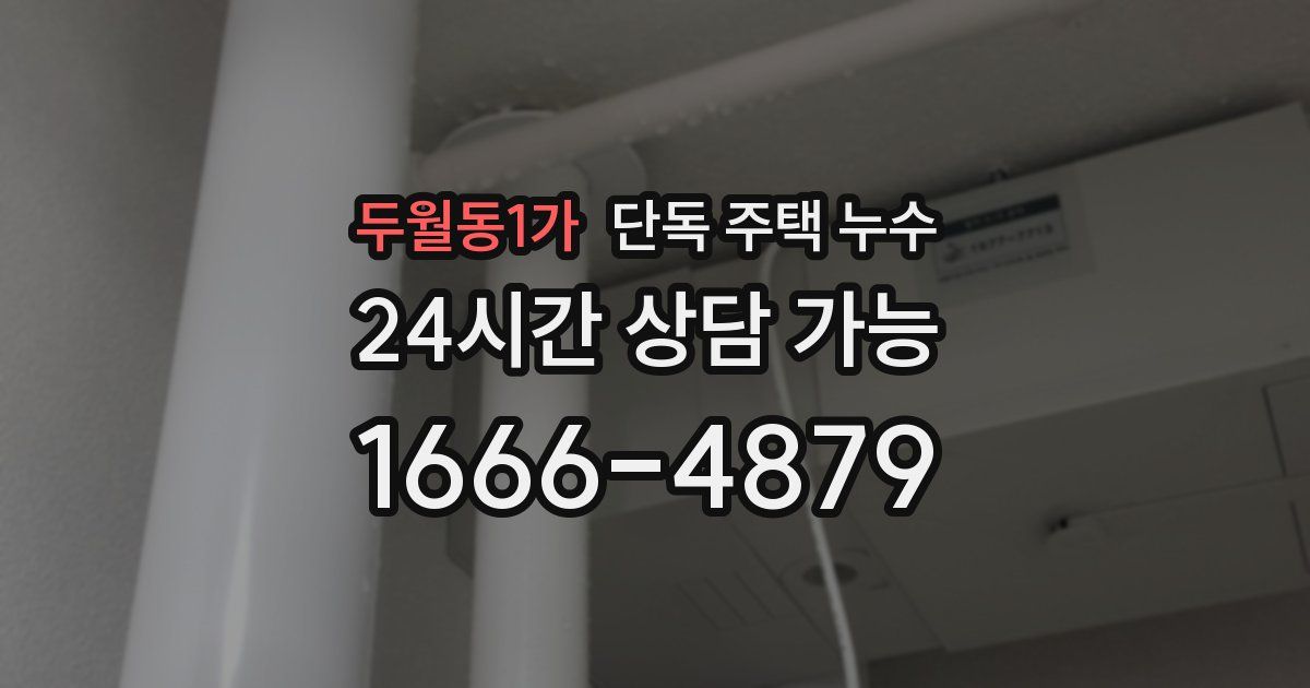 두월동1가 단독 주택 누수