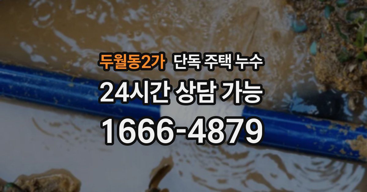 두월동2가 단독 주택 누수