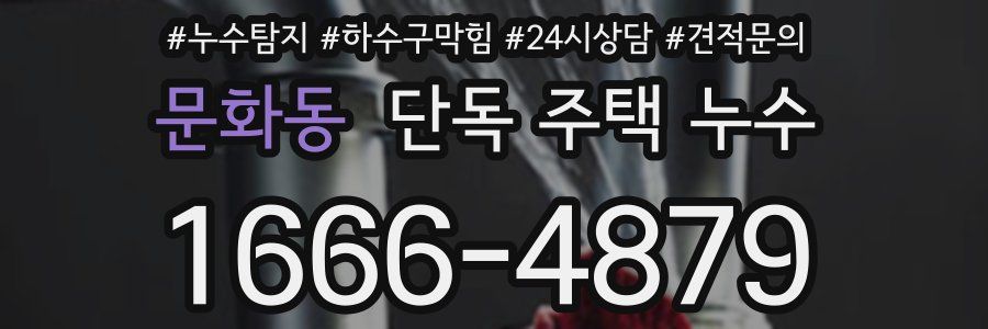 문화동 단독 주택 누수