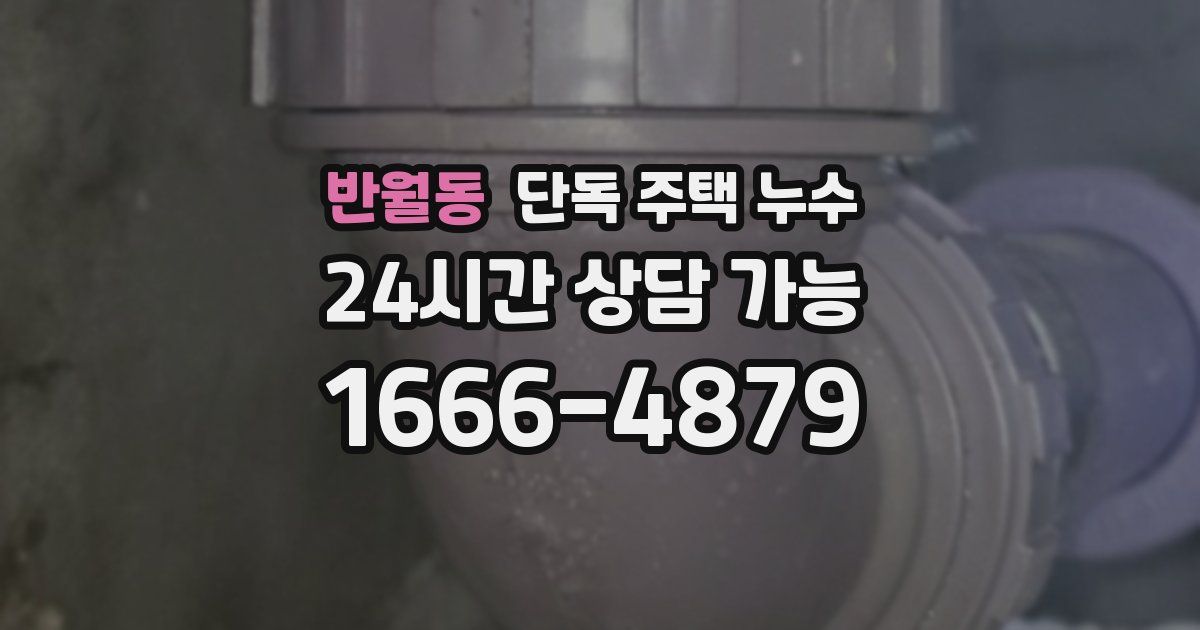 반월동 단독 주택 누수