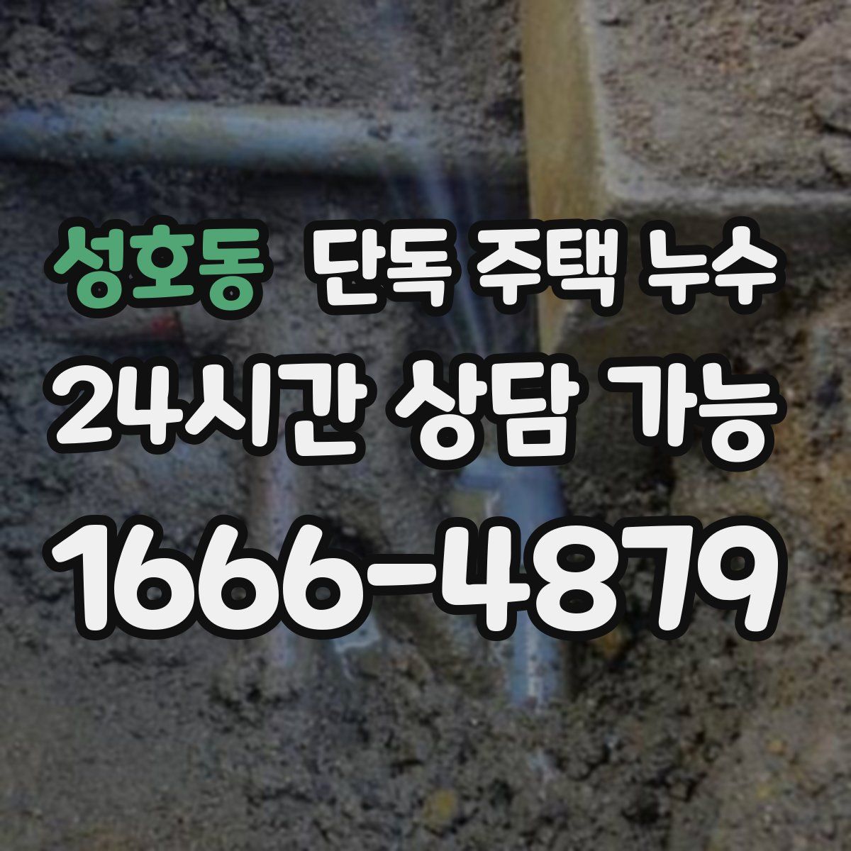 성호동 단독 주택 누수