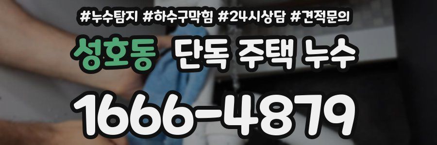 성호동 단독 주택 누수