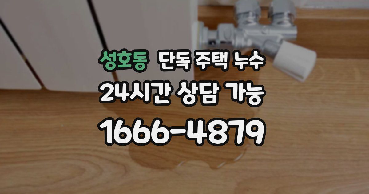 성호동 단독 주택 누수