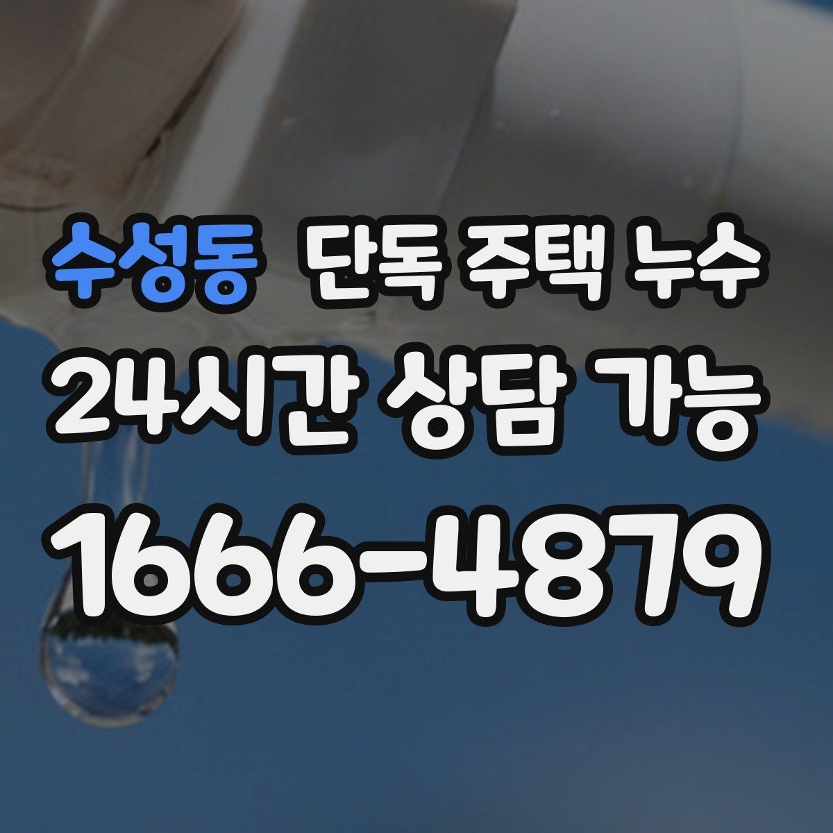 수성동 단독 주택 누수 낙엽으로 홈통이 막히면 생기는 문제