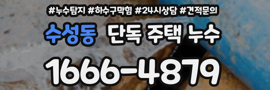 수성동 단독 주택 누수