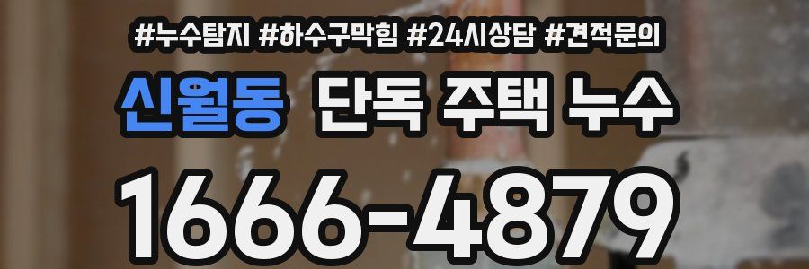 신월동 단독 주택 누수