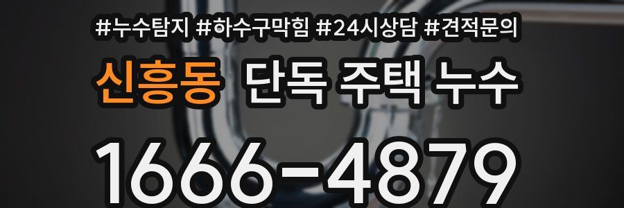 신흥동 단독 주택 누수