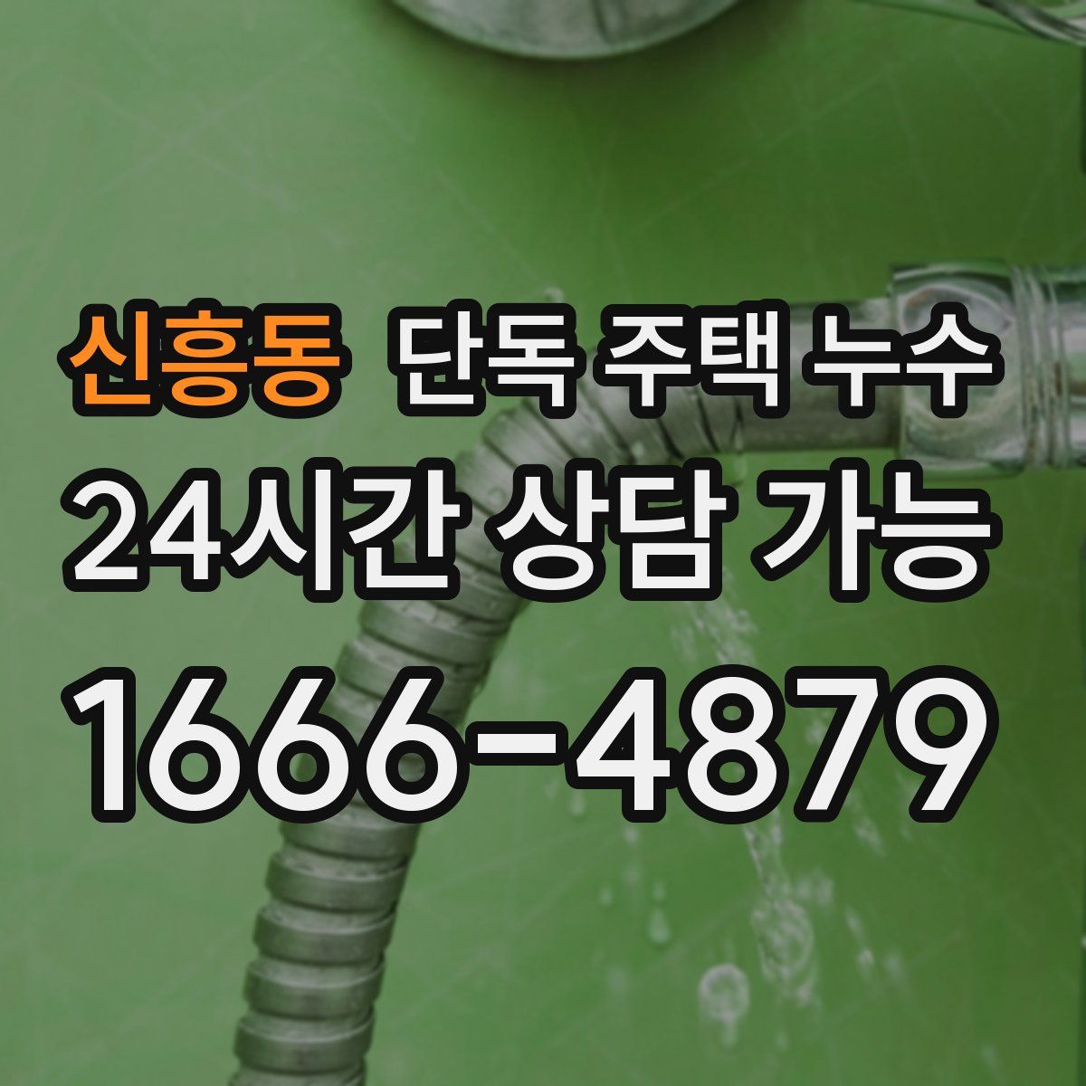 신흥동 단독 주택 누수