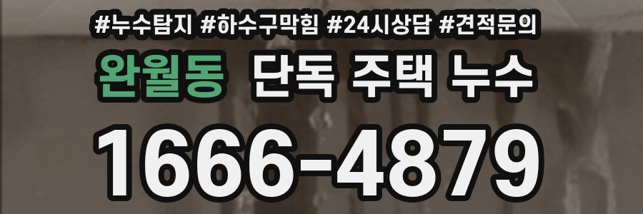 완월동 단독 주택 누수