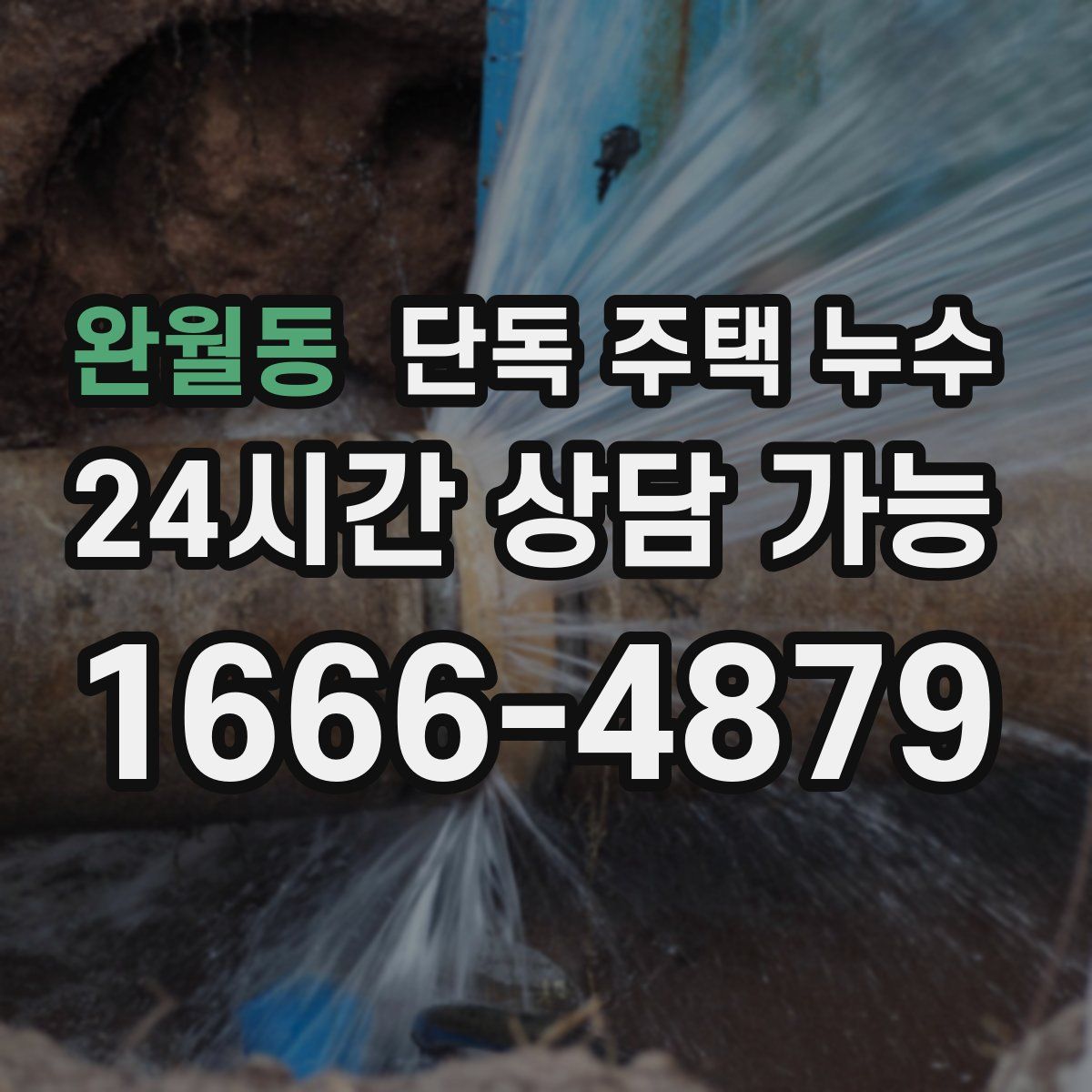 완월동 단독 주택 누수