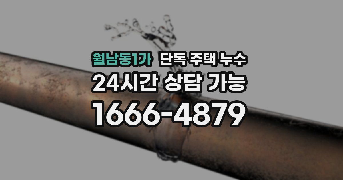 월남동1가 단독 주택 누수