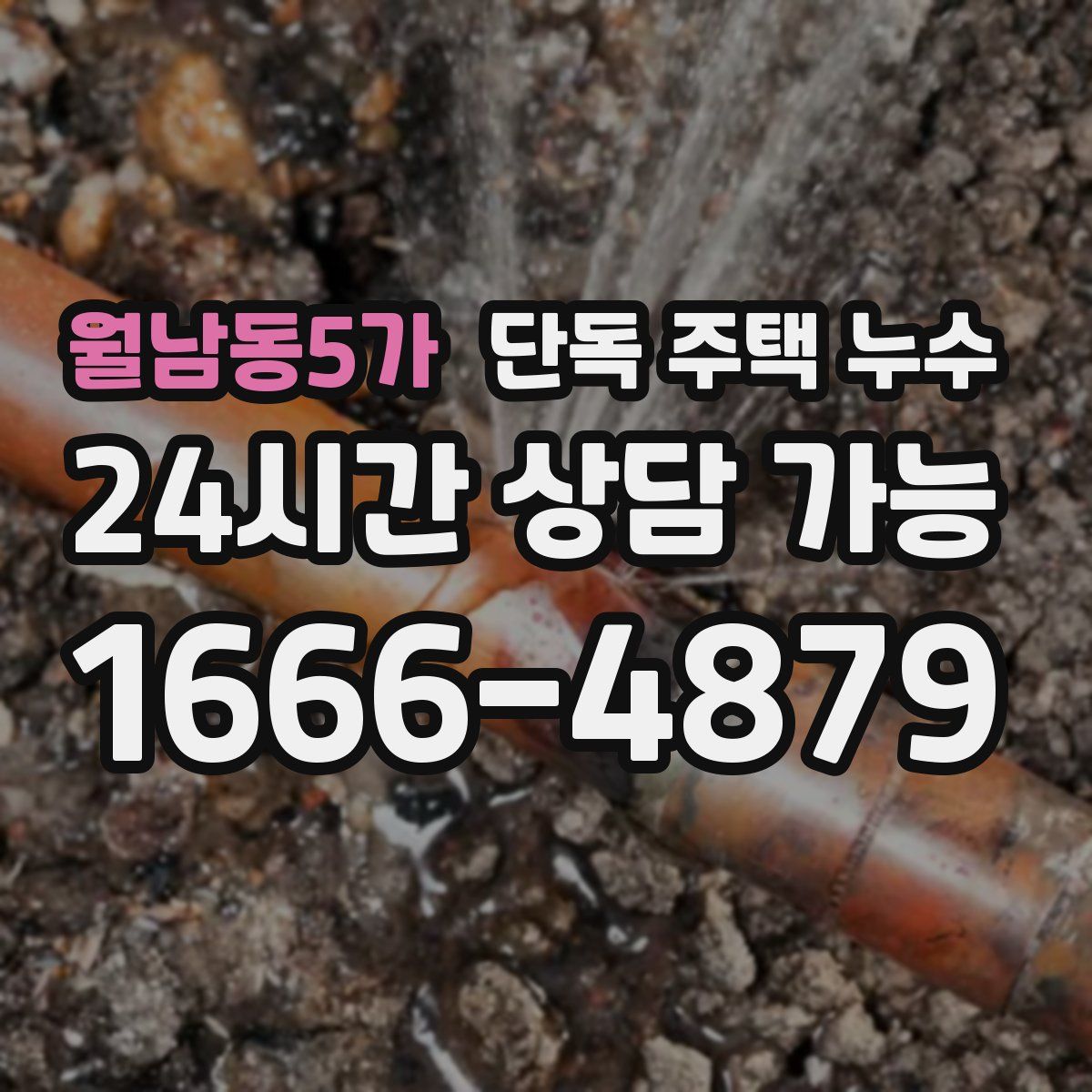 월남동5가 단독 주택 누수