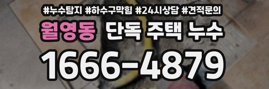 월영동 단독 주택 누수