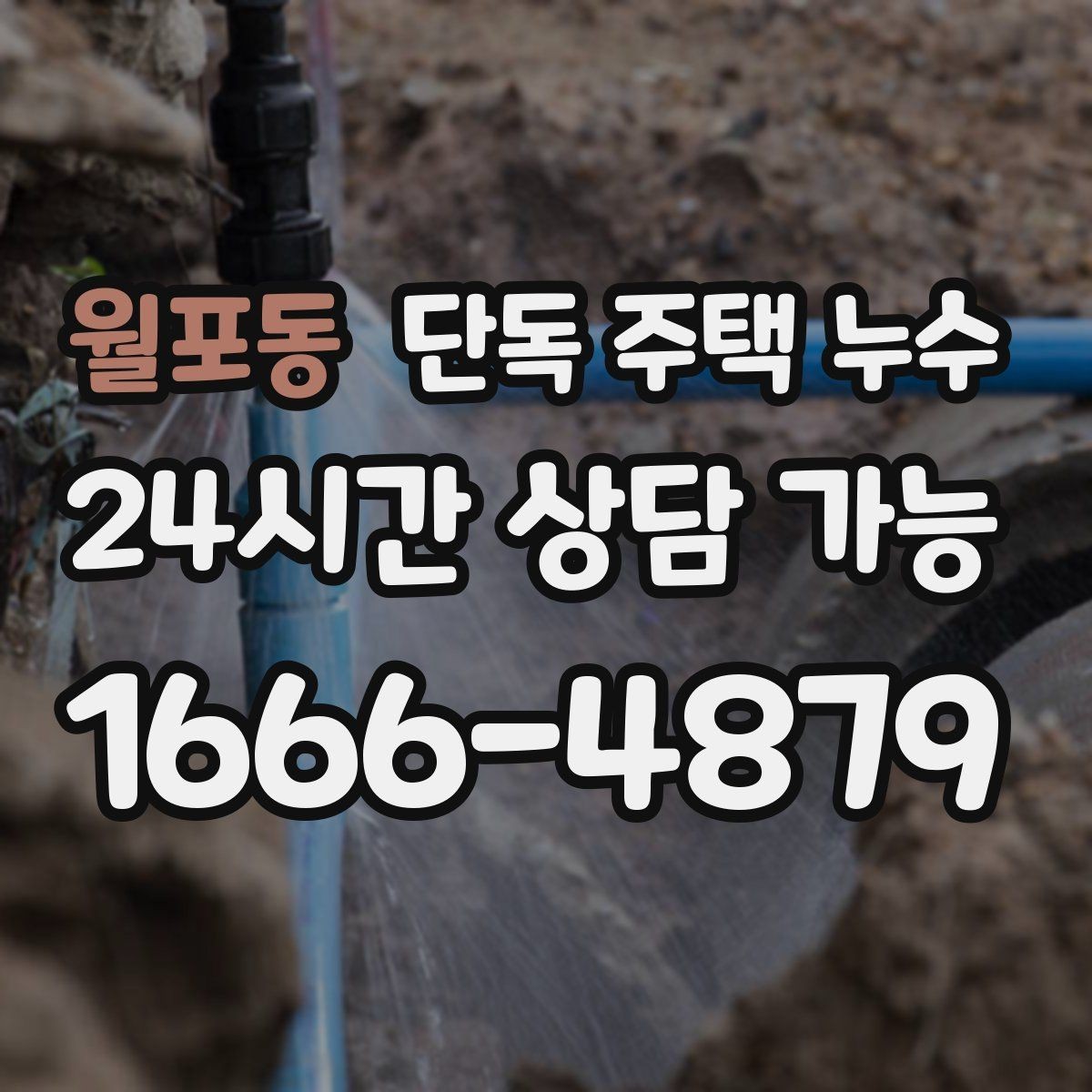 월포동 단독 주택 누수 거실 천장 중앙에 얼룩이 생길 때