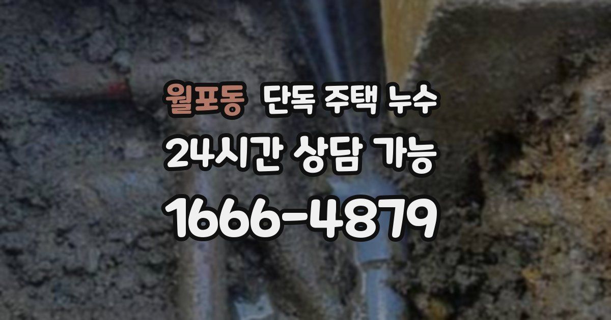 월포동 단독 주택 누수