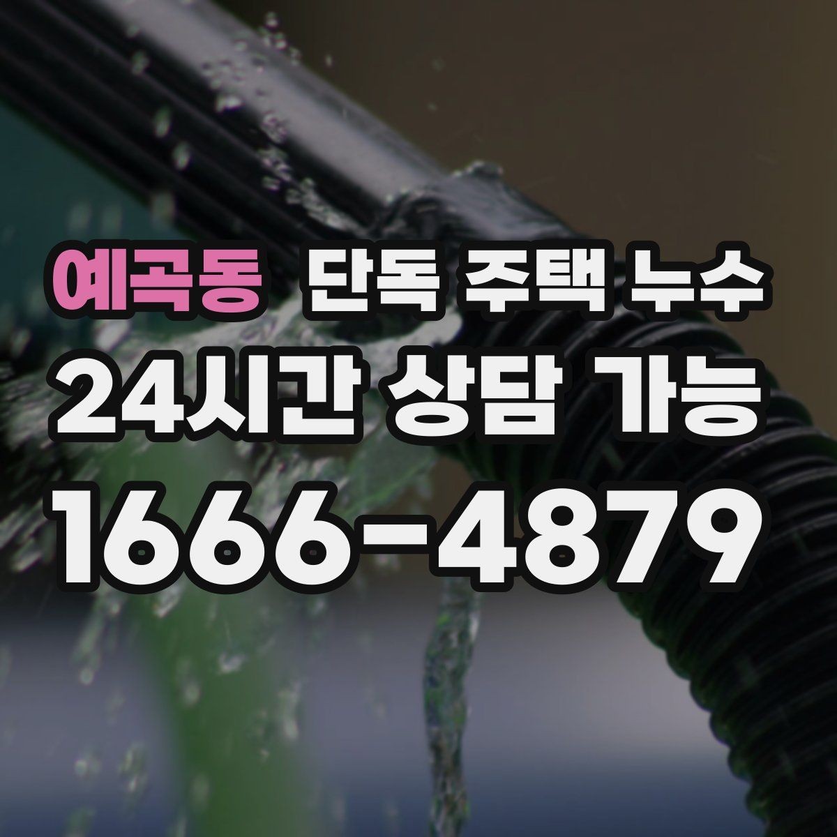 예곡동 단독 주택 누수 현관 옆 벽이 젖는다면 외부 배수 점검