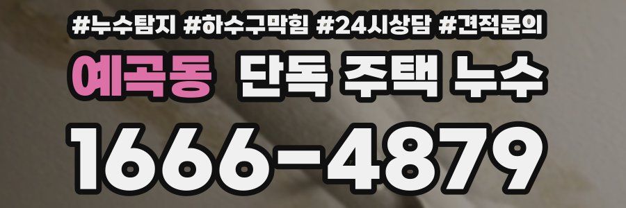 예곡동 단독 주택 누수