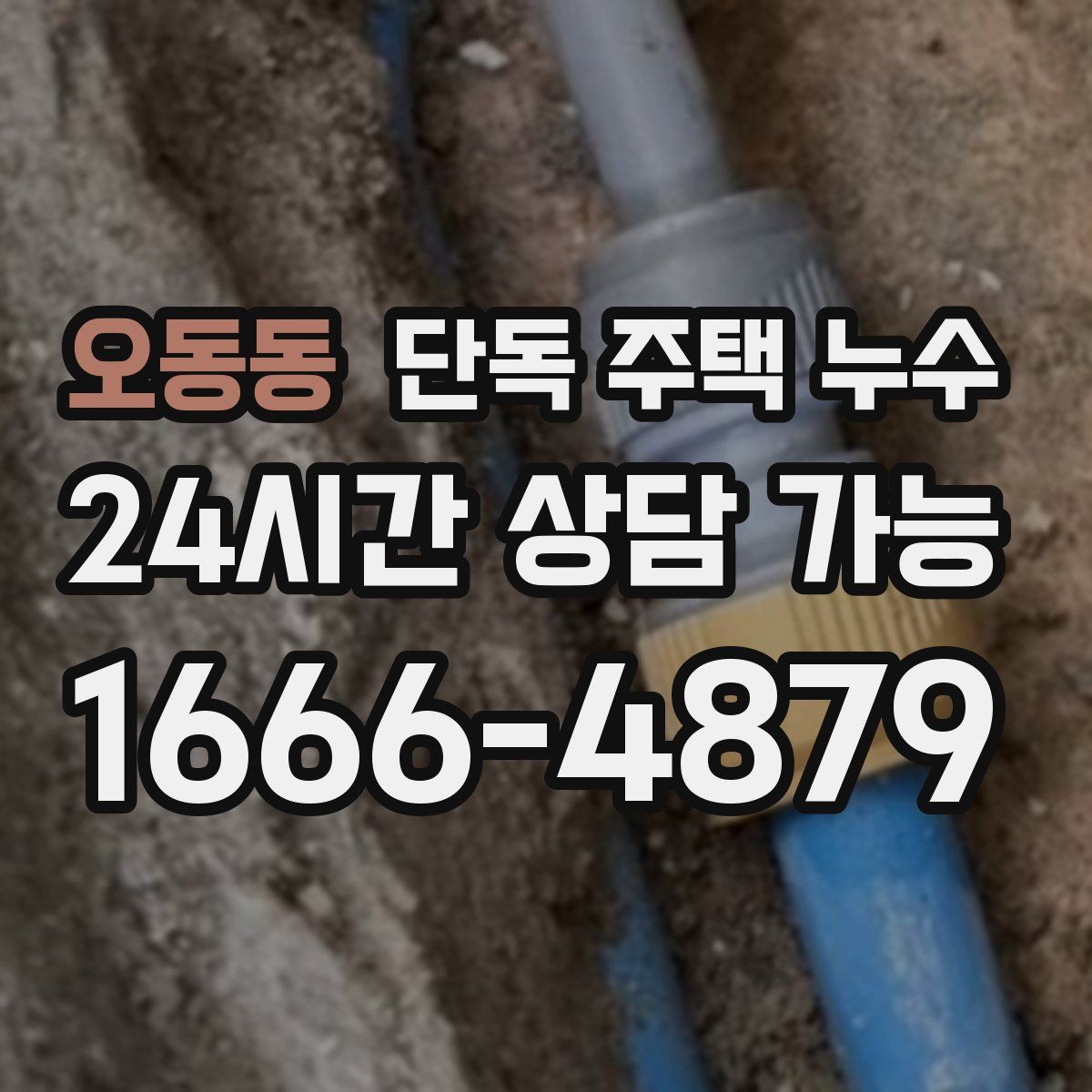 오동동 단독 주택 누수