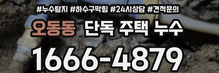 오동동 단독 주택 누수