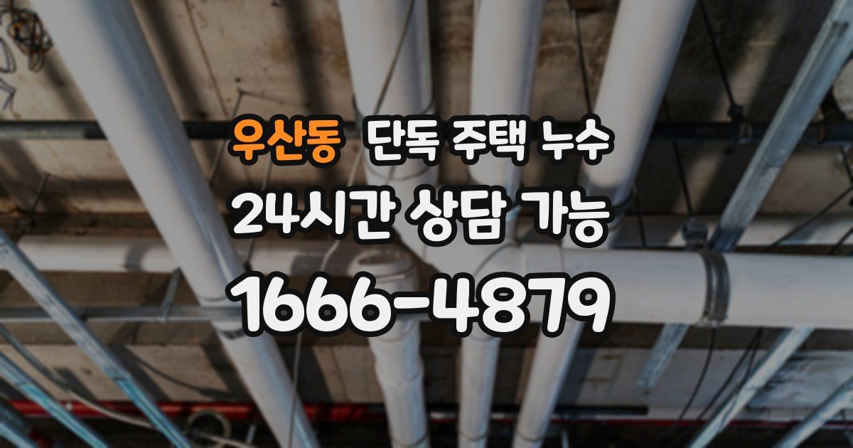 우산동 단독 주택 누수