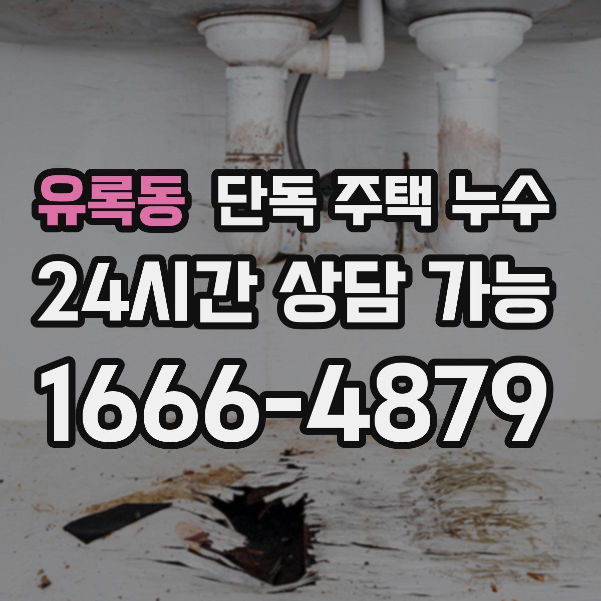 유록동 단독 주택 누수 보일러 배관 동파 이후 점검 포인트