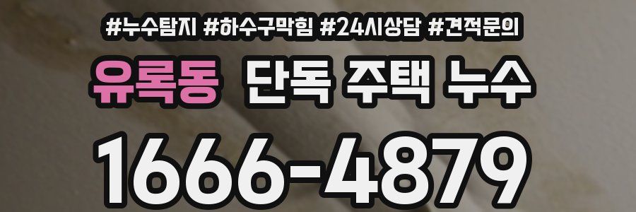 유록동 단독 주택 누수