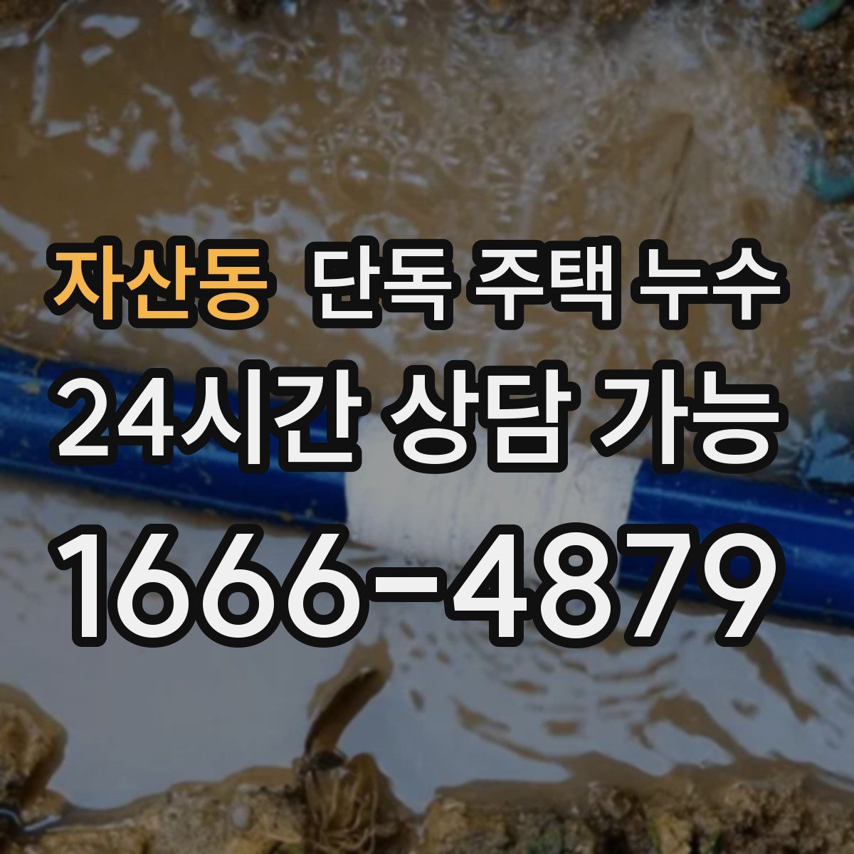 자산동 단독 주택 누수