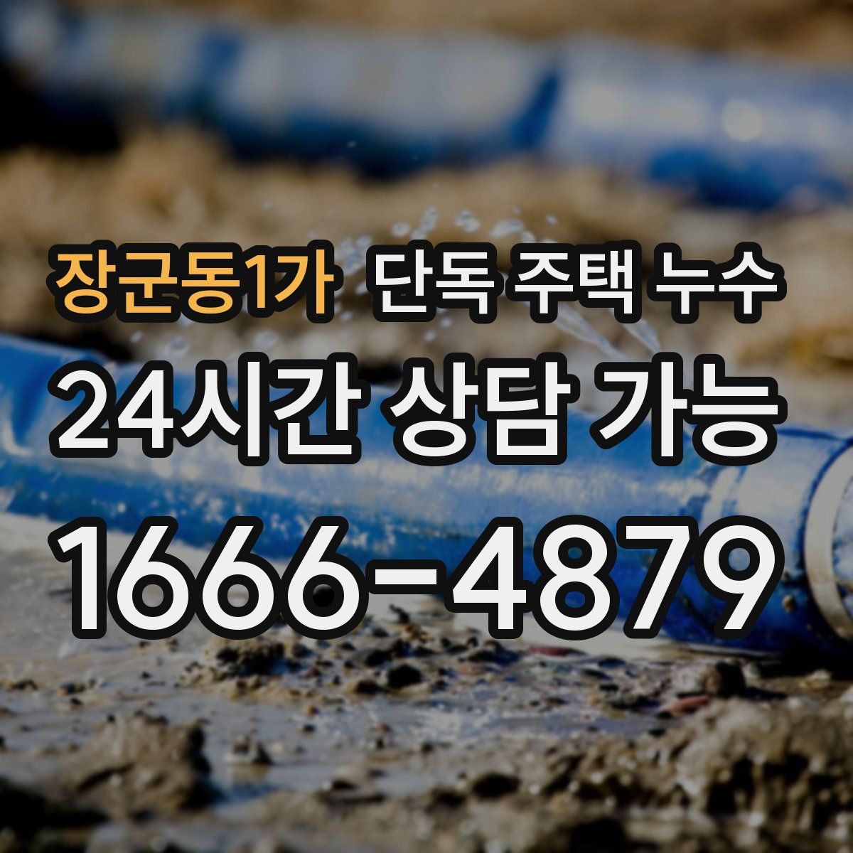 장군동1가 단독 주택 누수