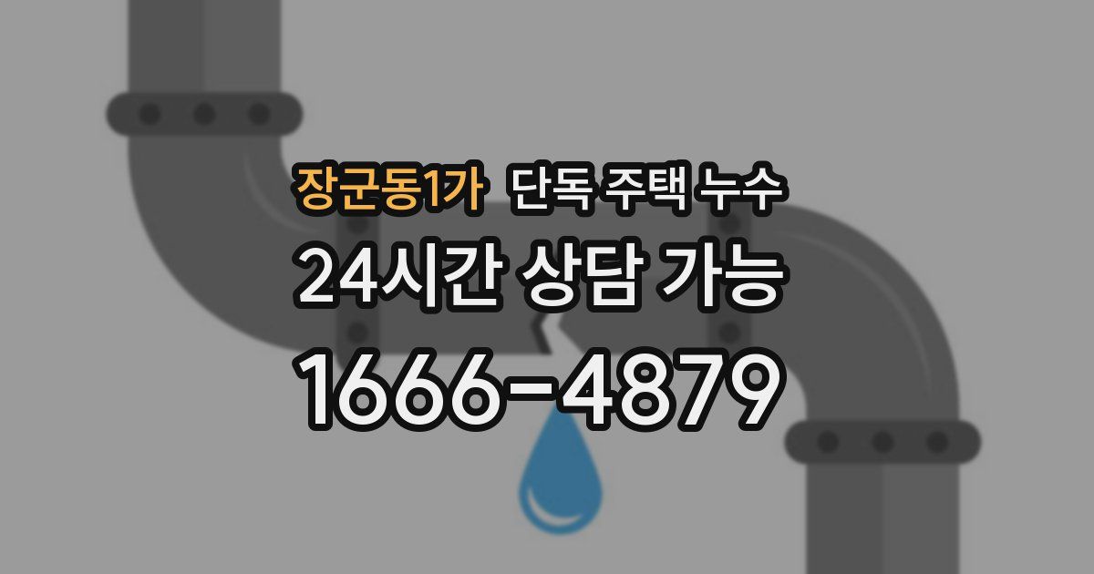 장군동1가 단독 주택 누수