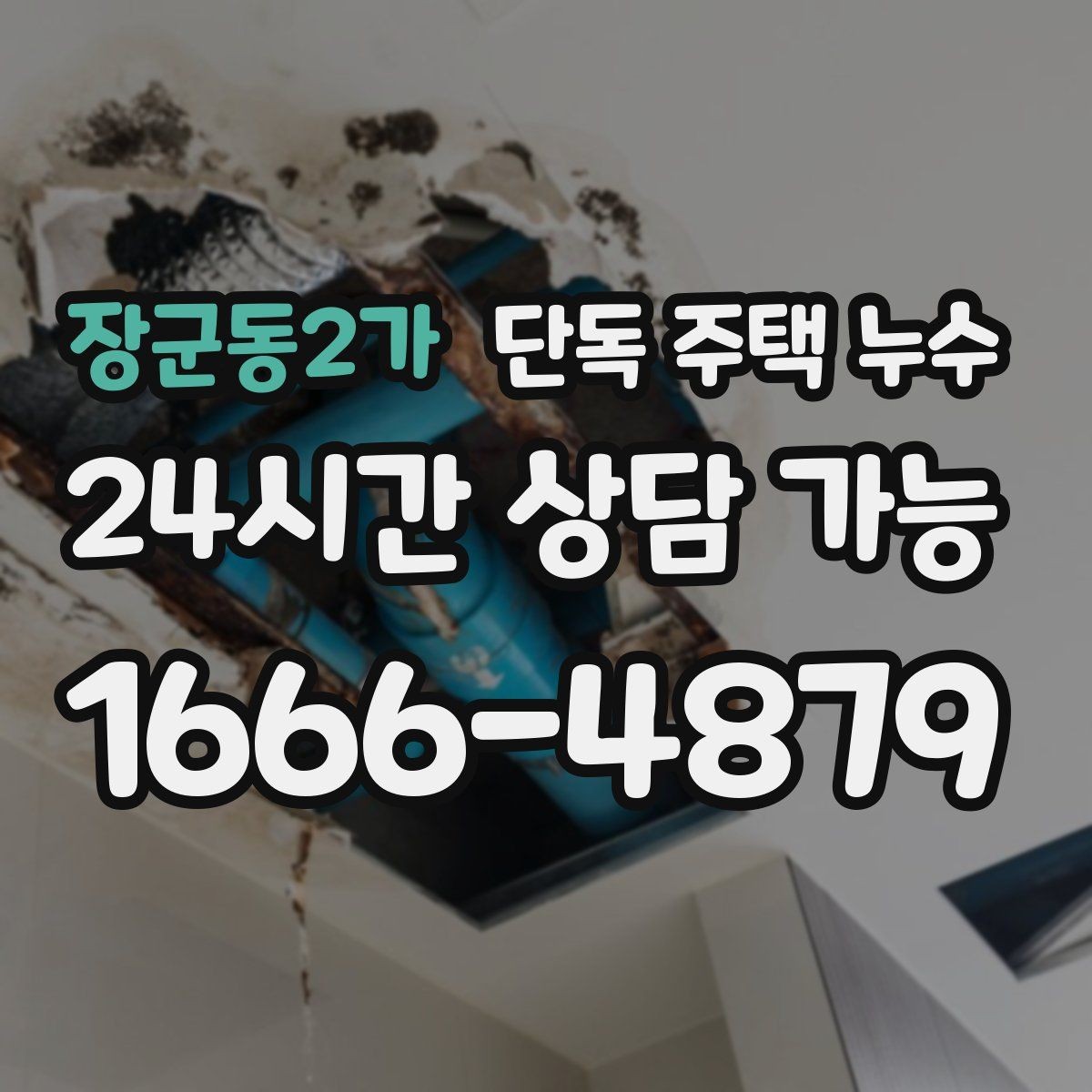 장군동2가 단독 주택 누수 곰팡이 제거만으로 해결 안 되는 이유