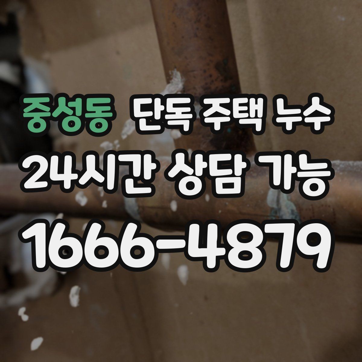중성동 단독 주택 누수 방문이 잘 안 닫히면 습기 변형 의심