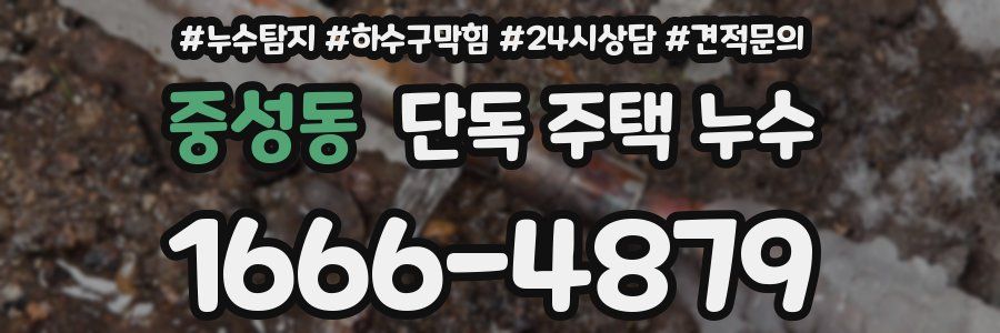 중성동 단독 주택 누수