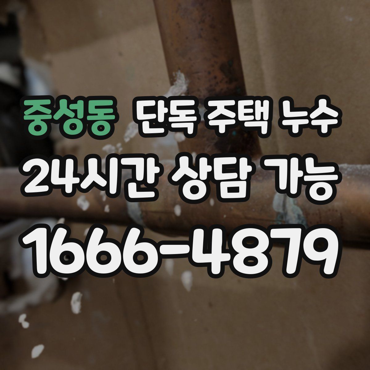 중성동 단독 주택 누수