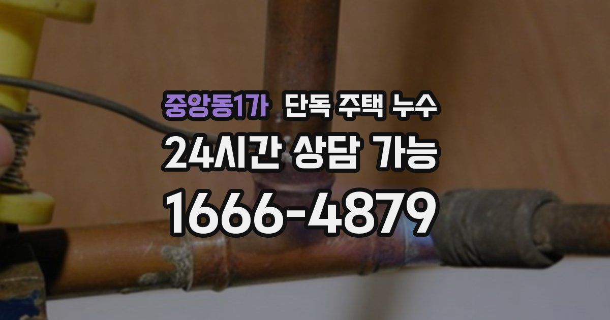 중앙동1가 단독 주택 누수