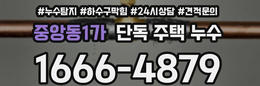 중앙동1가 단독 주택 누수