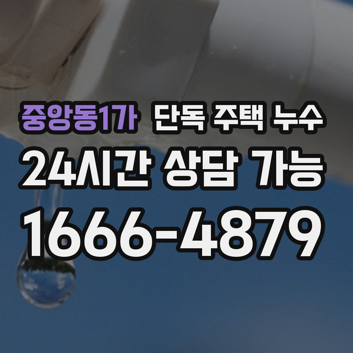 중앙동1가 단독 주택 누수