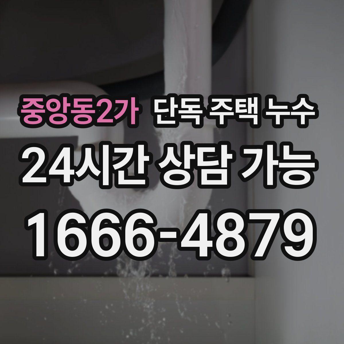 중앙동2가 단독 주택 누수