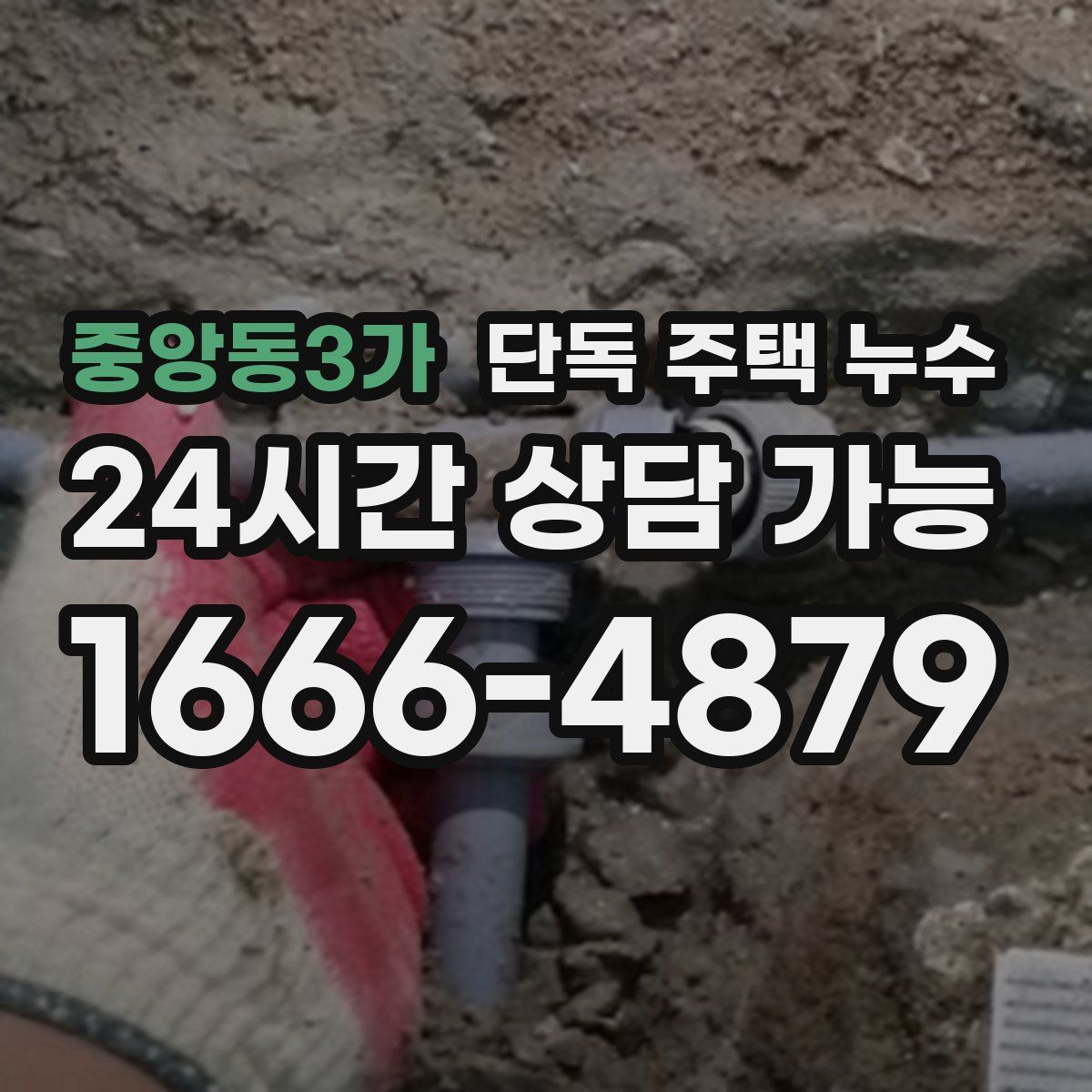 중앙동3가 단독 주택 누수