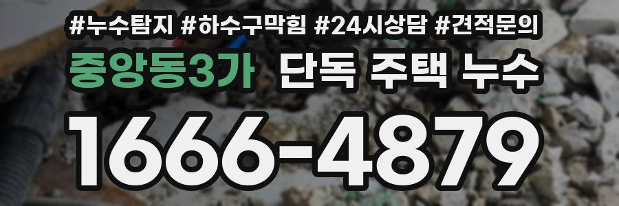 중앙동3가 단독 주택 누수