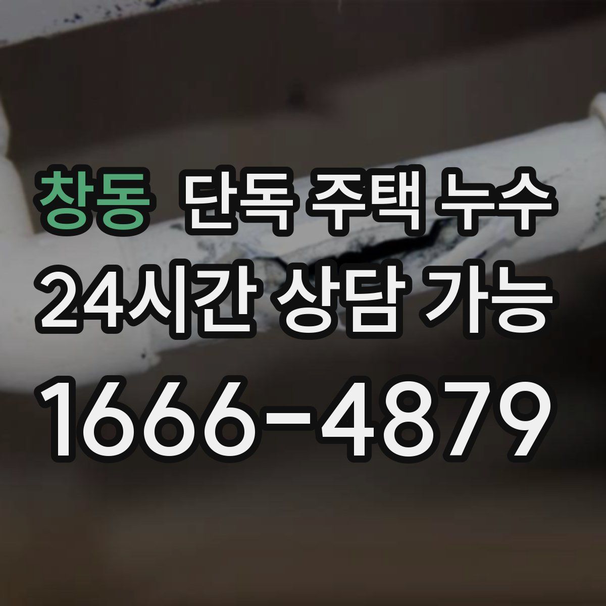 창동 단독 주택 누수