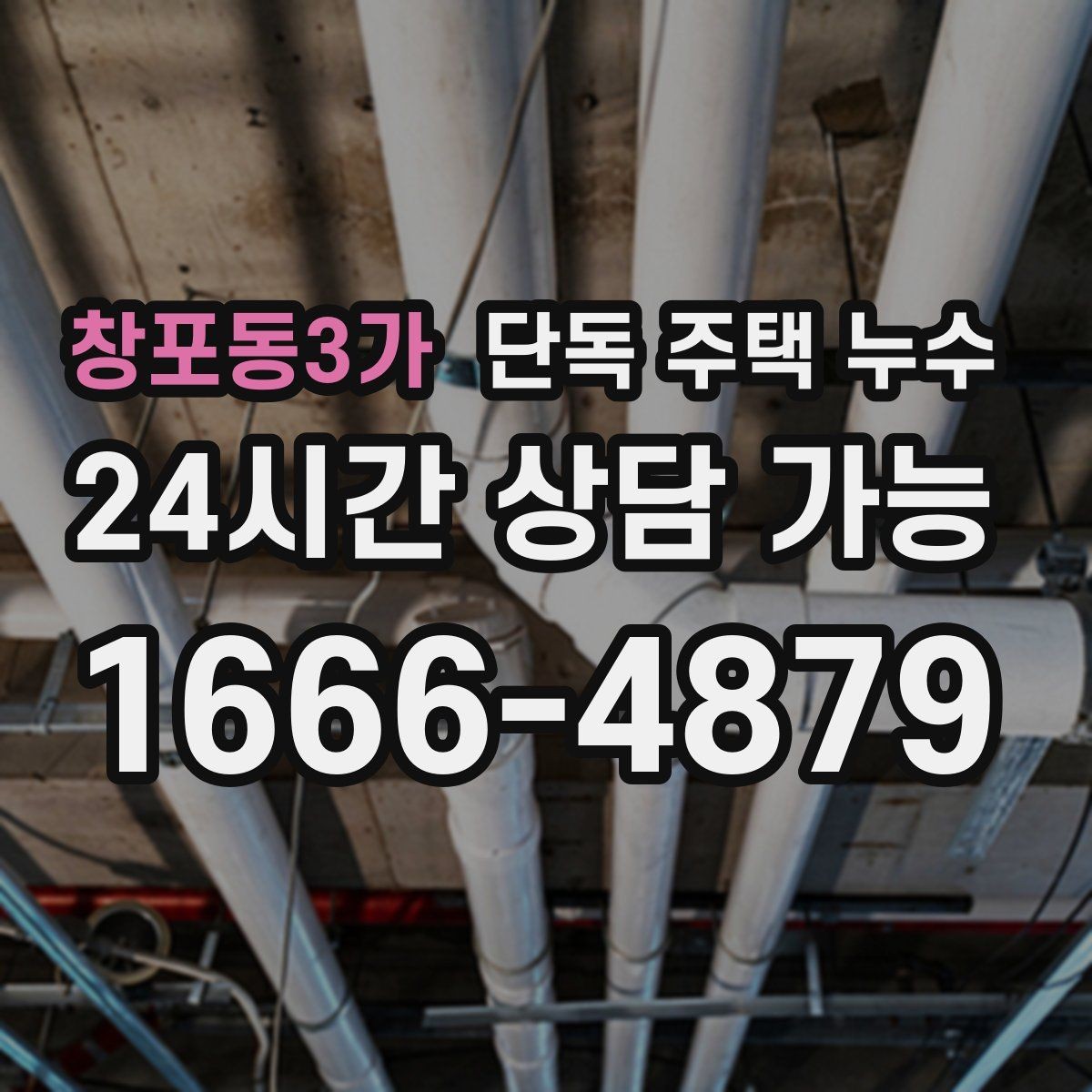 창포동3가 단독 주택 누수 욕실 문턱 바깥까지 물이 번질 때 원인