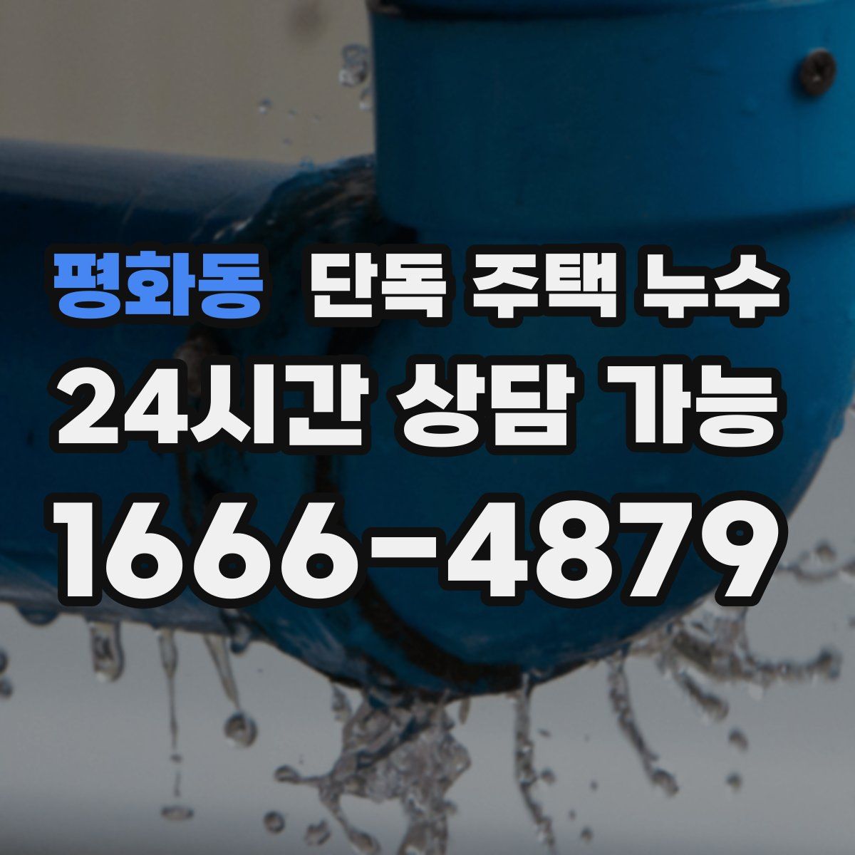 평화동 단독 주택 누수