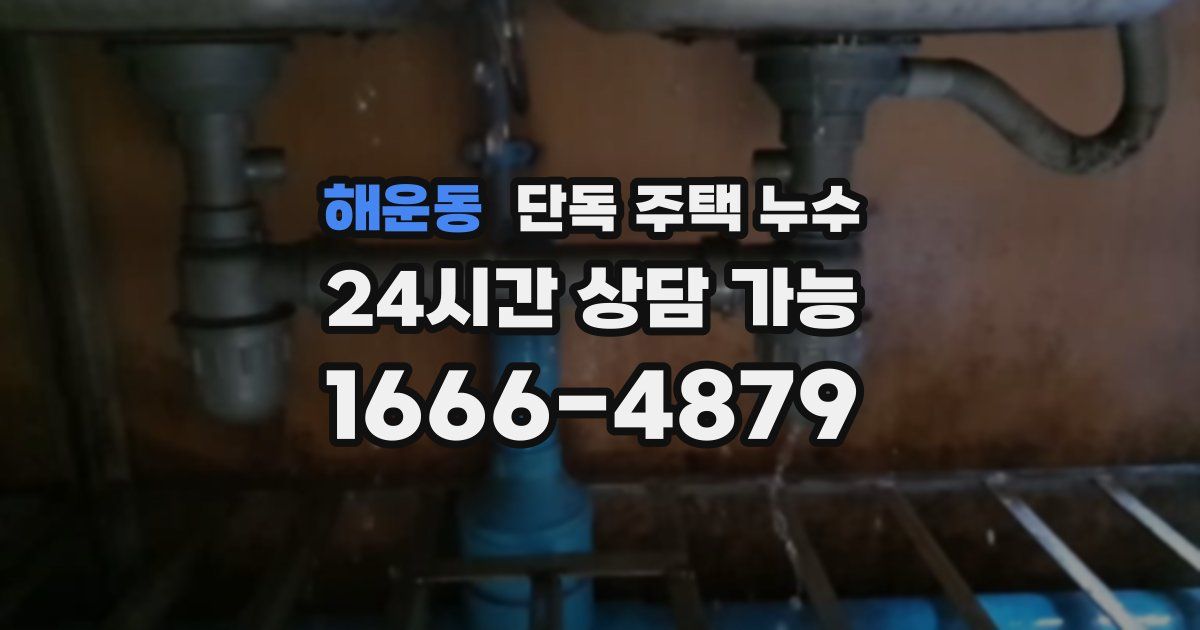 해운동 단독 주택 누수