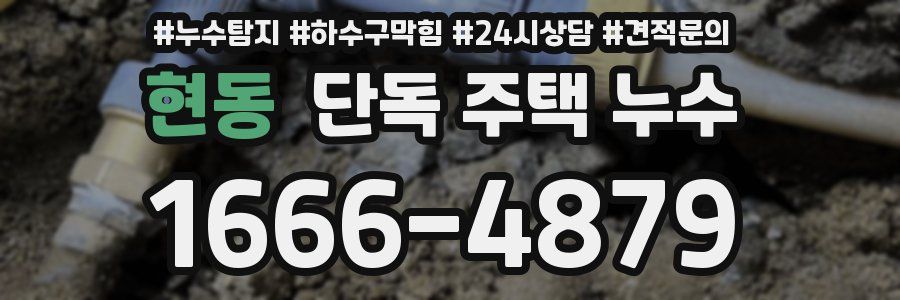 현동 단독 주택 누수