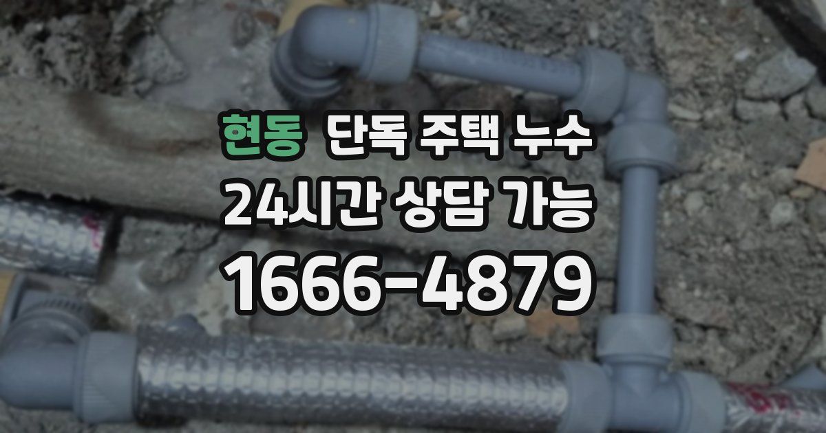 현동 단독 주택 누수