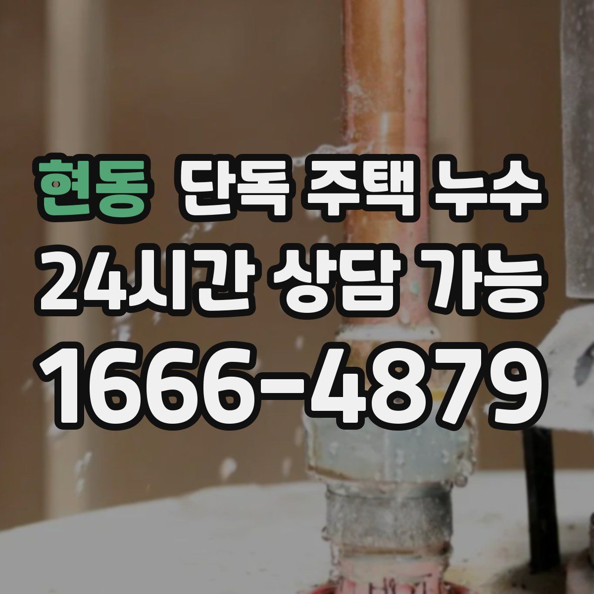 현동 단독 주택 누수