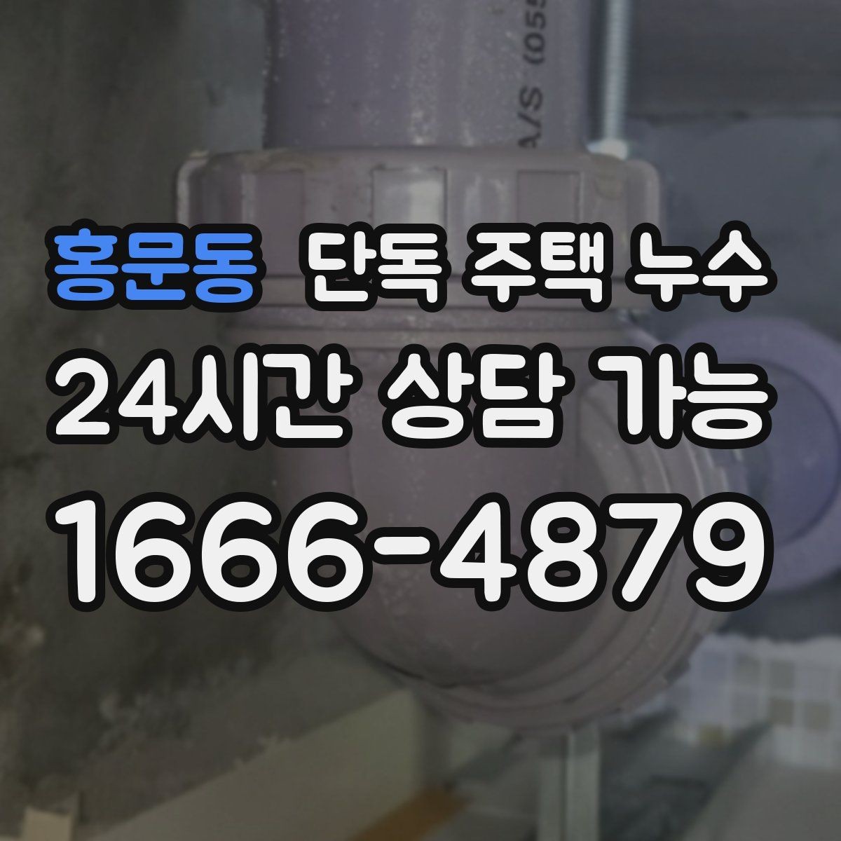 홍문동 단독 주택 누수 정원 수도 사용 후 주변이 젖는다면