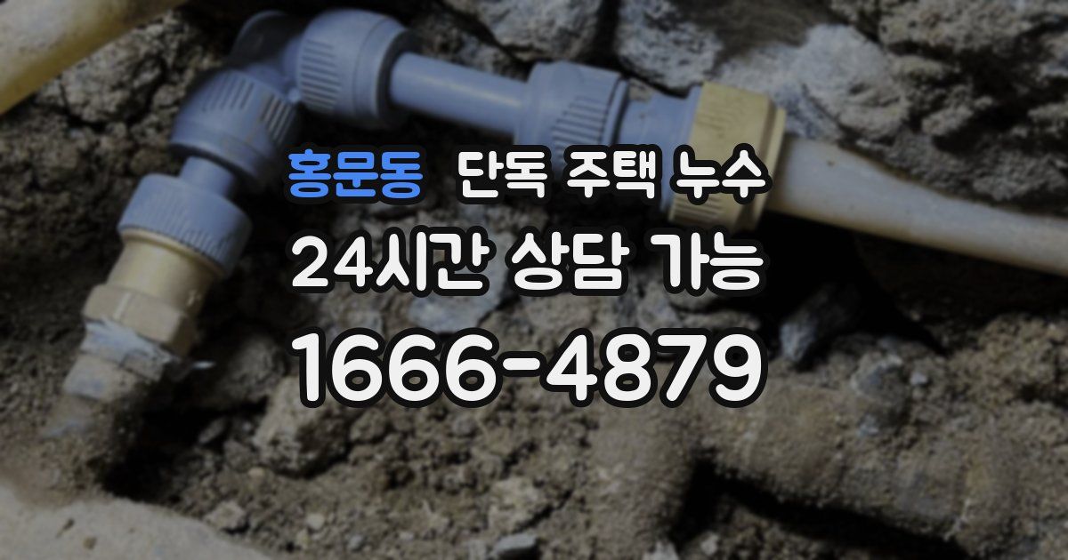 홍문동 단독 주택 누수