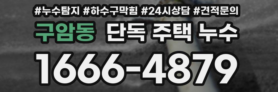 구암동 단독 주택 누수